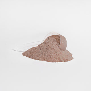 Advanced 100% Whey Protein Isolate – Decadent Chocolate Flavor