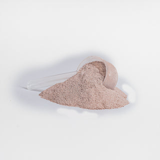 Plant Protein Vegan (Vanilla)
