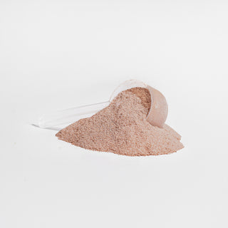 Grass-Fed Collagen Peptides Powder (Chocolate) – Nourish Your Body with Every Sip