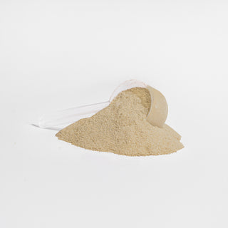 Advanced 100% Whey Protein Isolate – Smooth & Creamy Vanilla Flavor