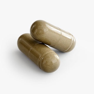 Ginkgo Biloba + Ginseng – Cognitive & Vitality Support